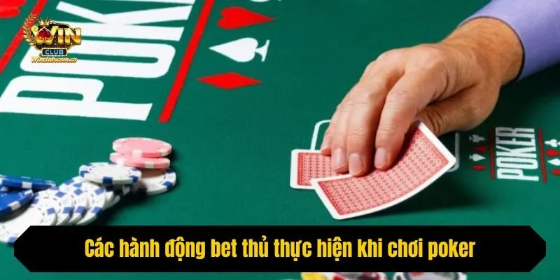 Các hành động bet thủ thực hiện khi chơi poker