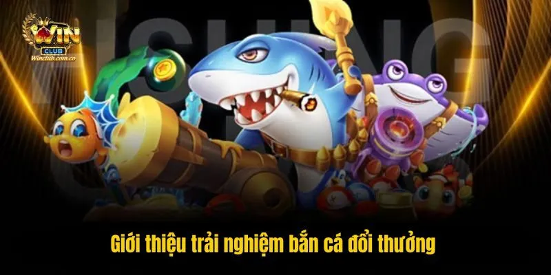 Giới thiệu trải nghiệm bắn cá đổi thưởng