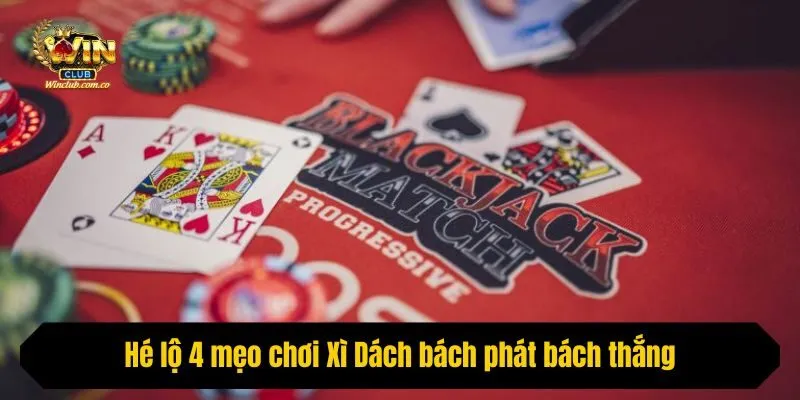 Hé lộ 4 mẹo chơi Xì Dách bách phát bách thắng
